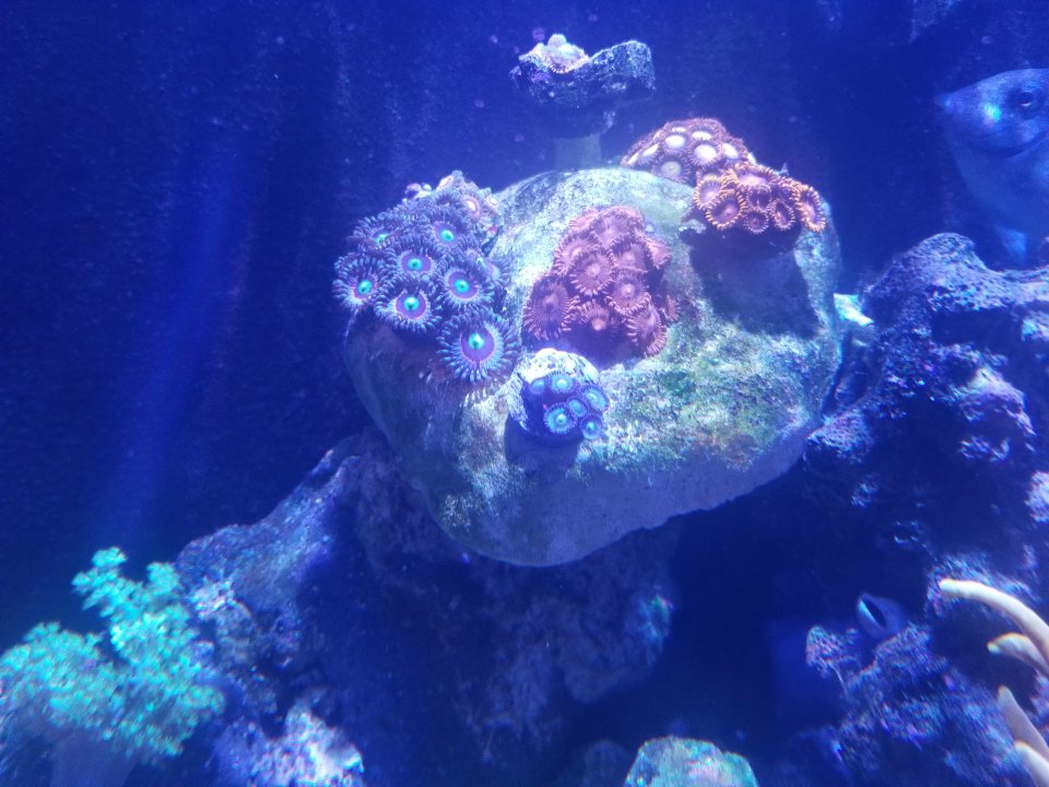20210804_133807.jpg