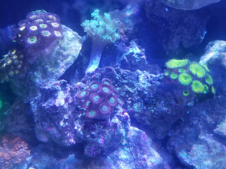 20210804_133814.jpg