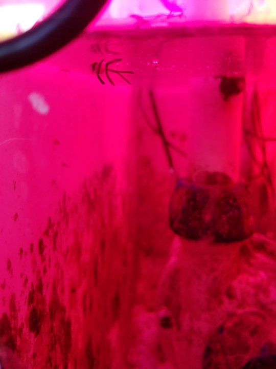 20210804_181619.jpg