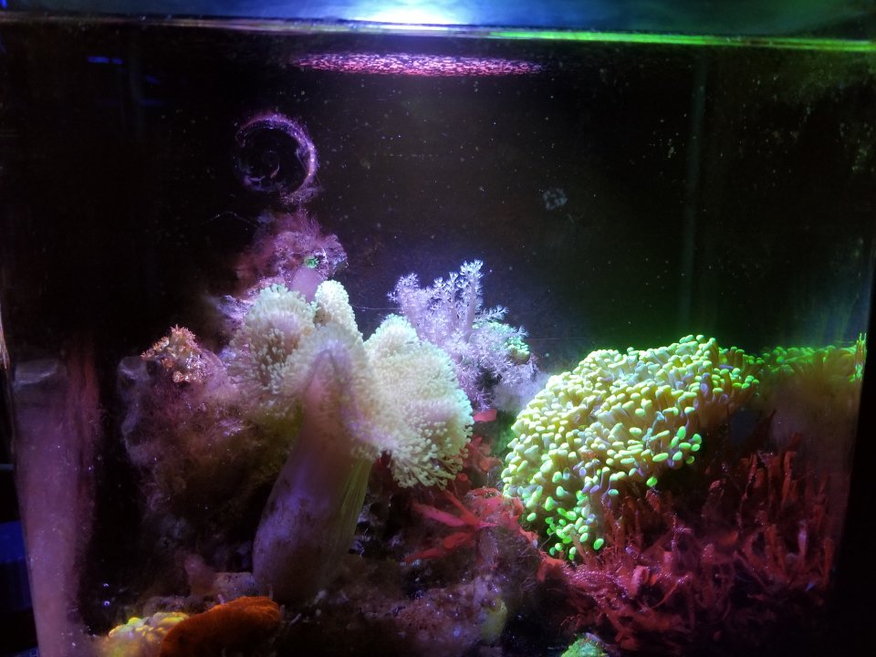 20210816_235158.jpg
