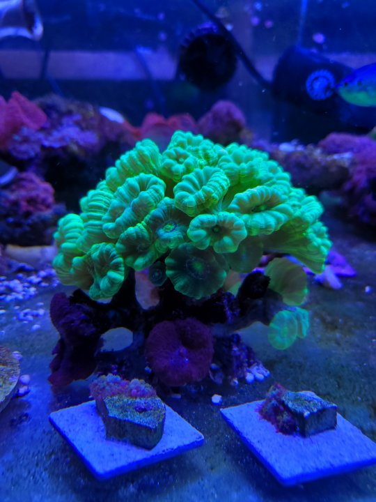 20210826_172453.jpg