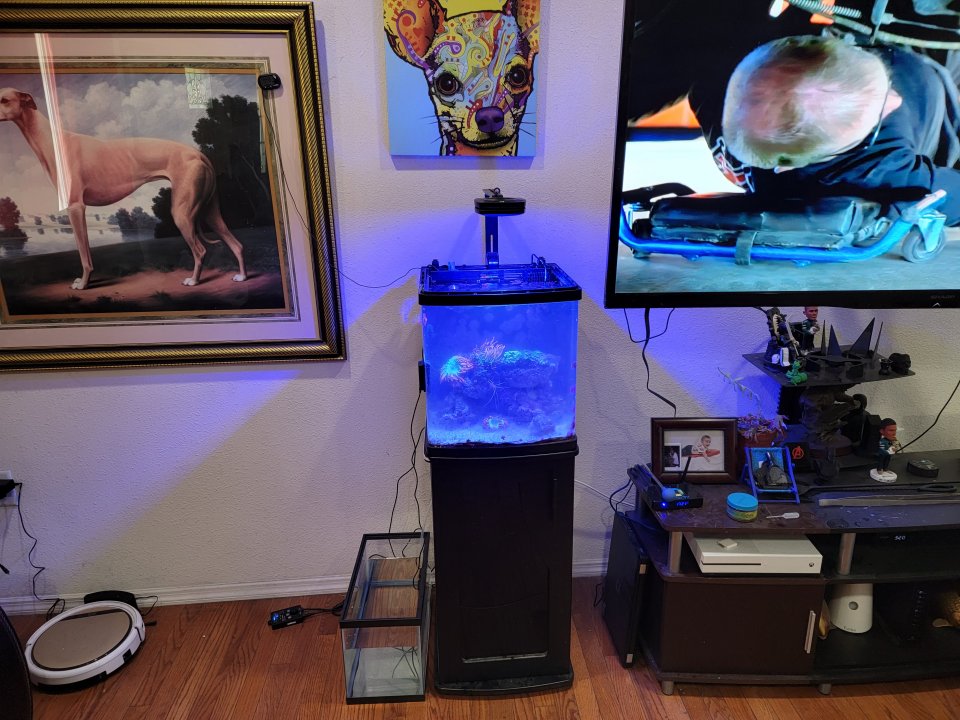 20210906_152057.jpg