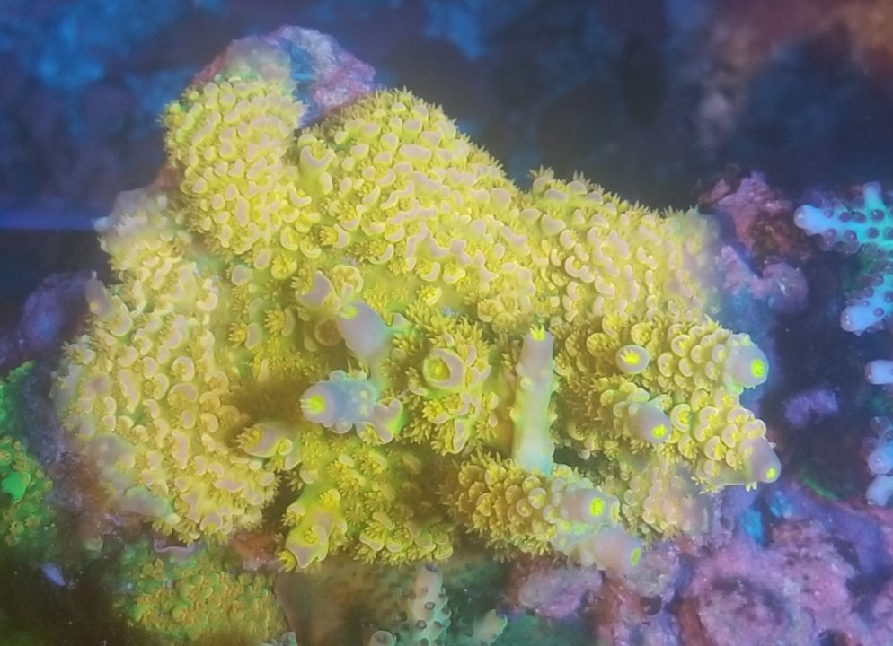 20210911_191337.jpg