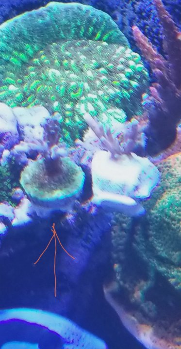 20210916_025740.jpg