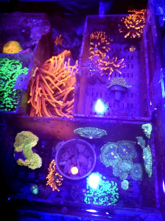 20210917_222005.jpg