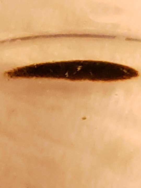 20210924_121955.jpg