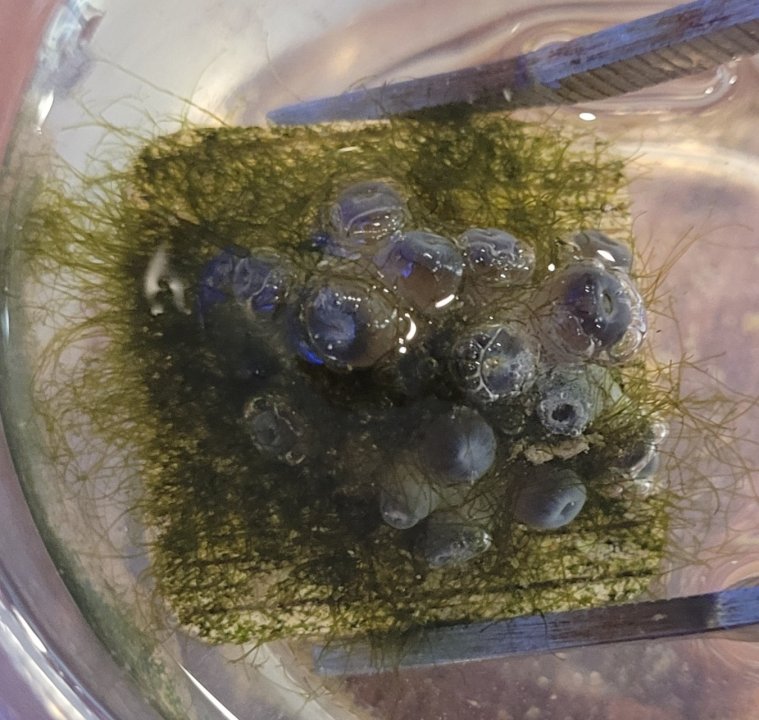 20210930_171133.jpg