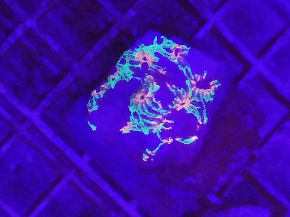 20211001_235039.jpg