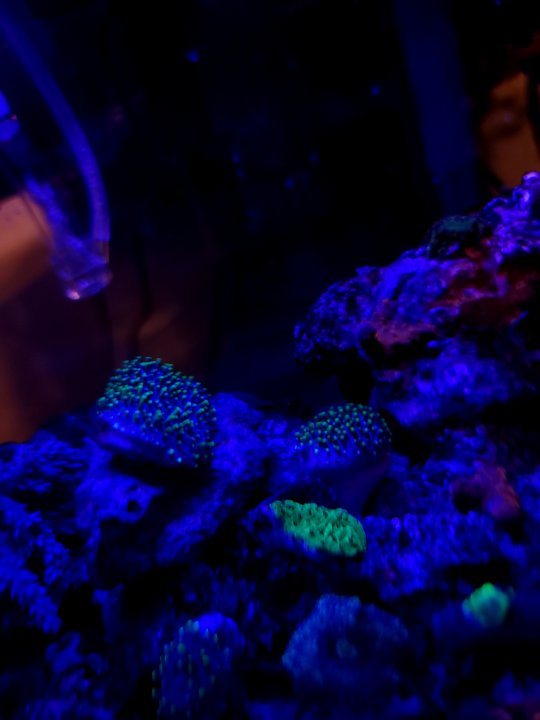 20211003_195409.jpg