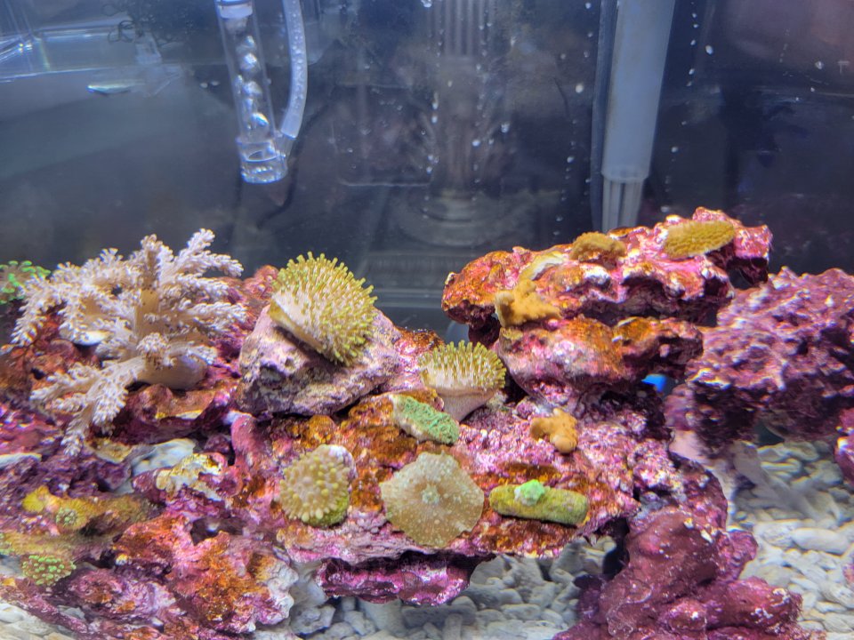 20211004_184441.jpg
