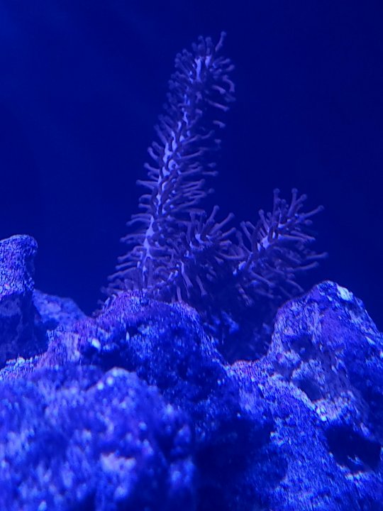 20211004_195413.jpg