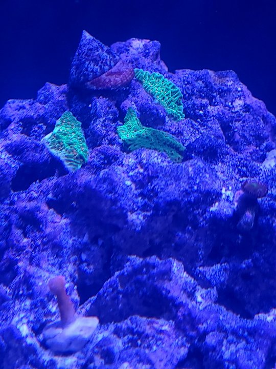 20211004_195430.jpg