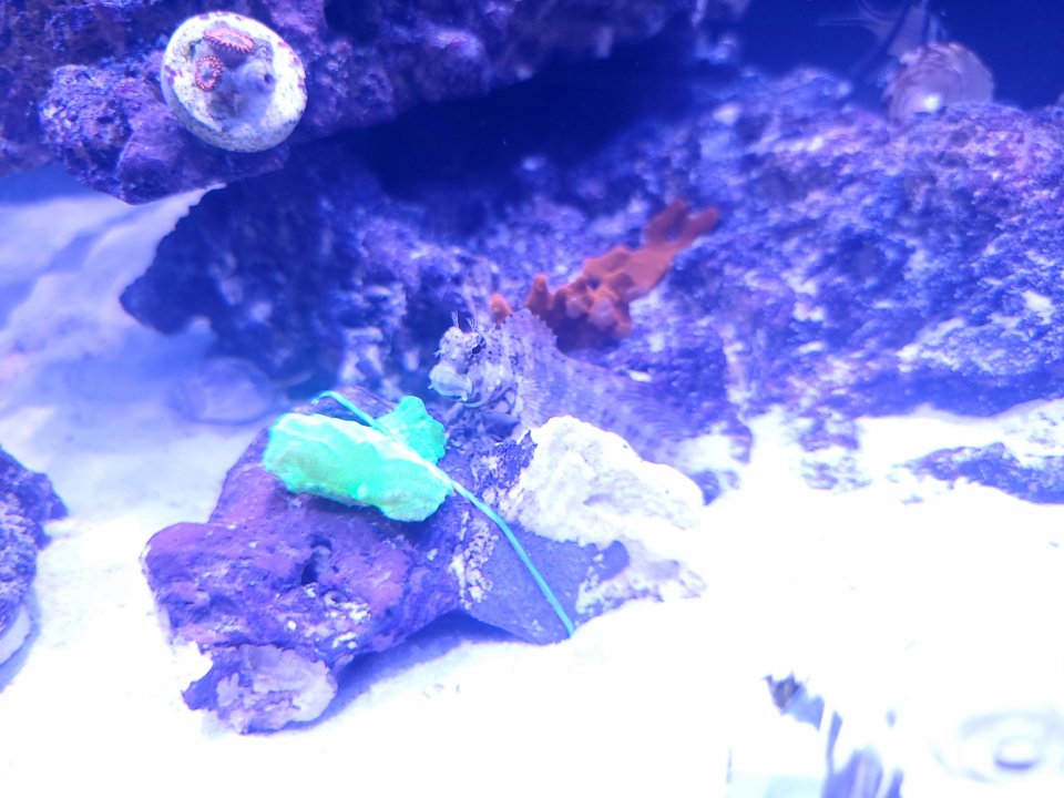 20211005_192606.jpg