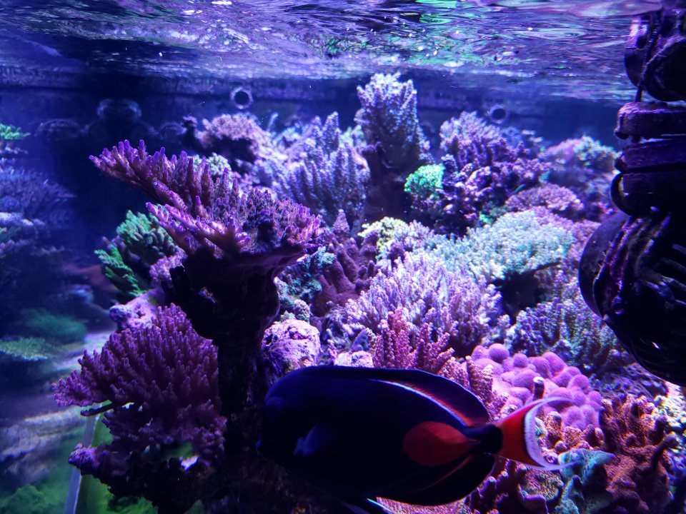 20211007_175021.jpg