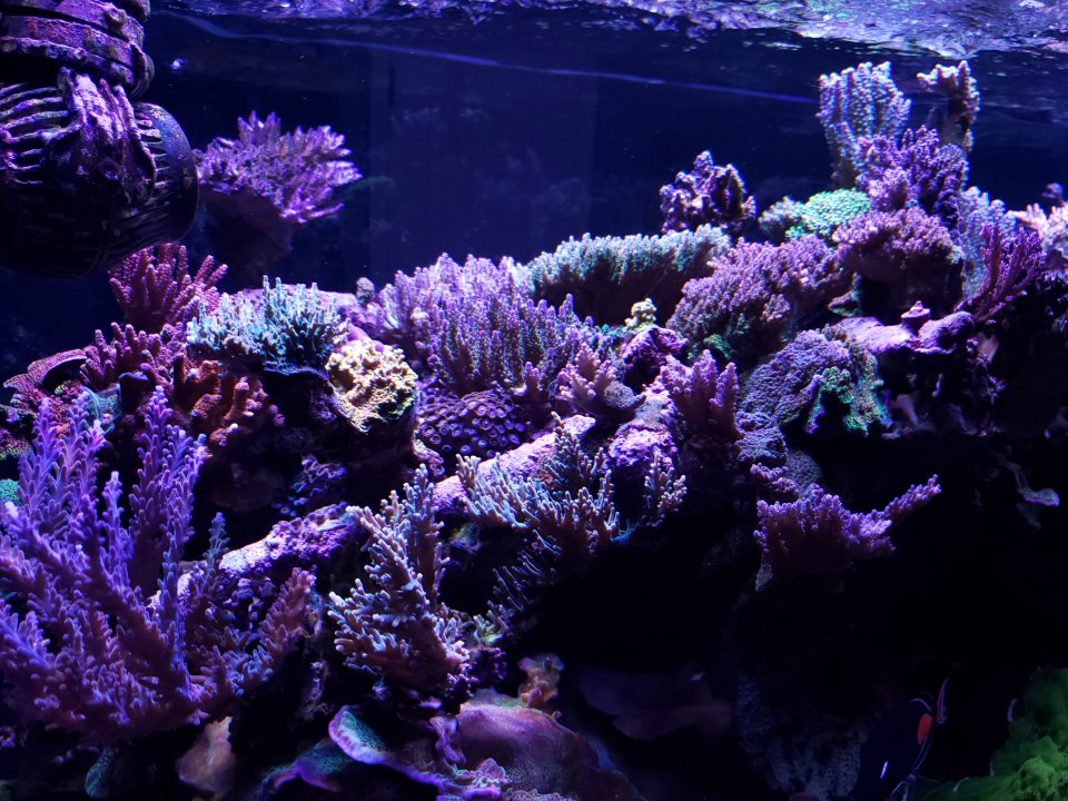 20211007_175055.jpg