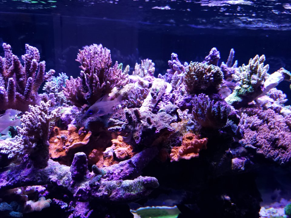 20211007_175107.jpg