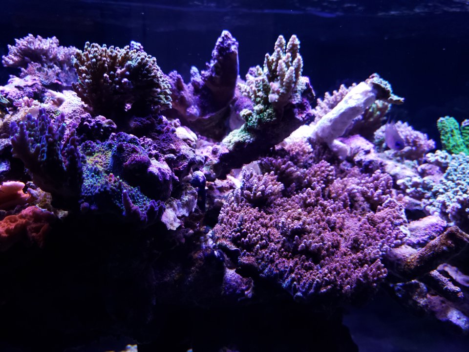 20211007_175142.jpg