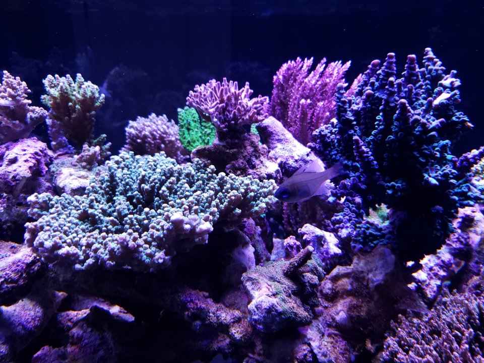 20211007_175149.jpg