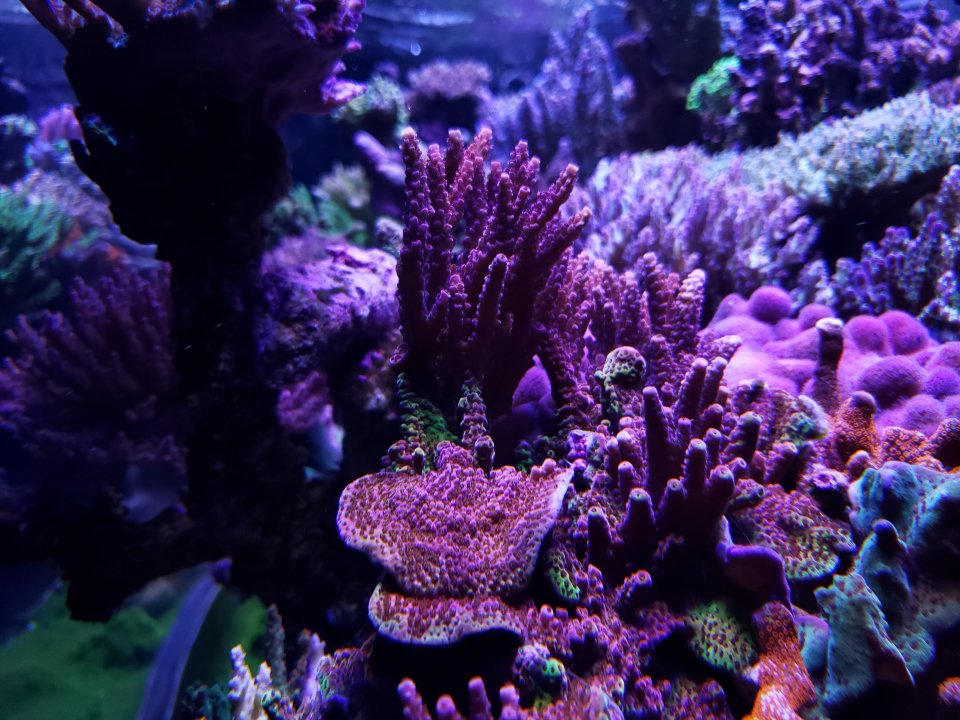 20211007_175230.jpg