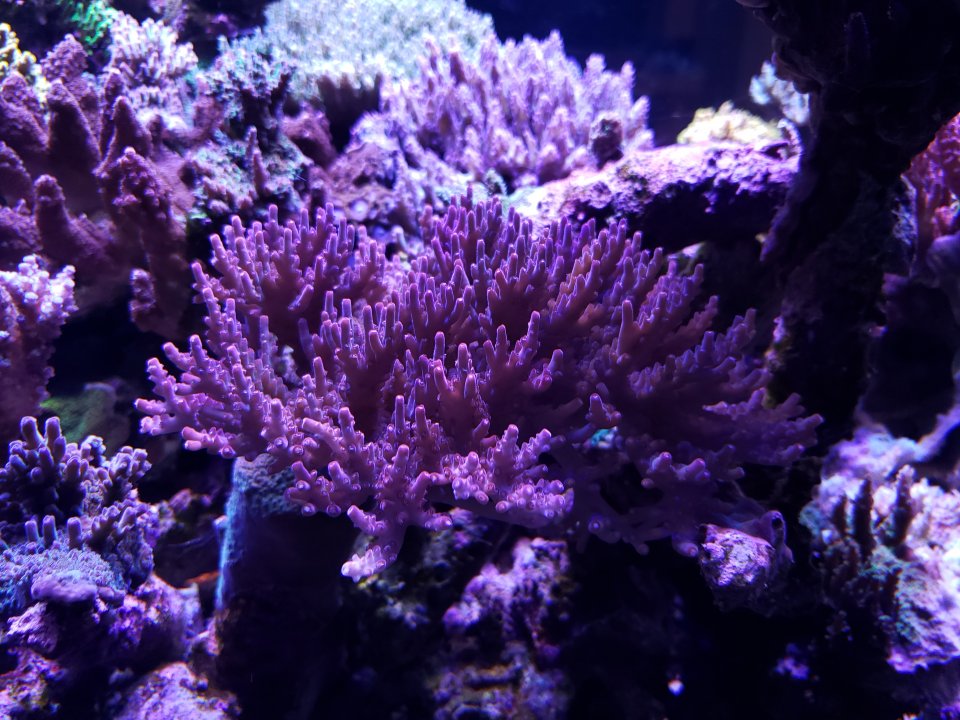 20211007_175248.jpg
