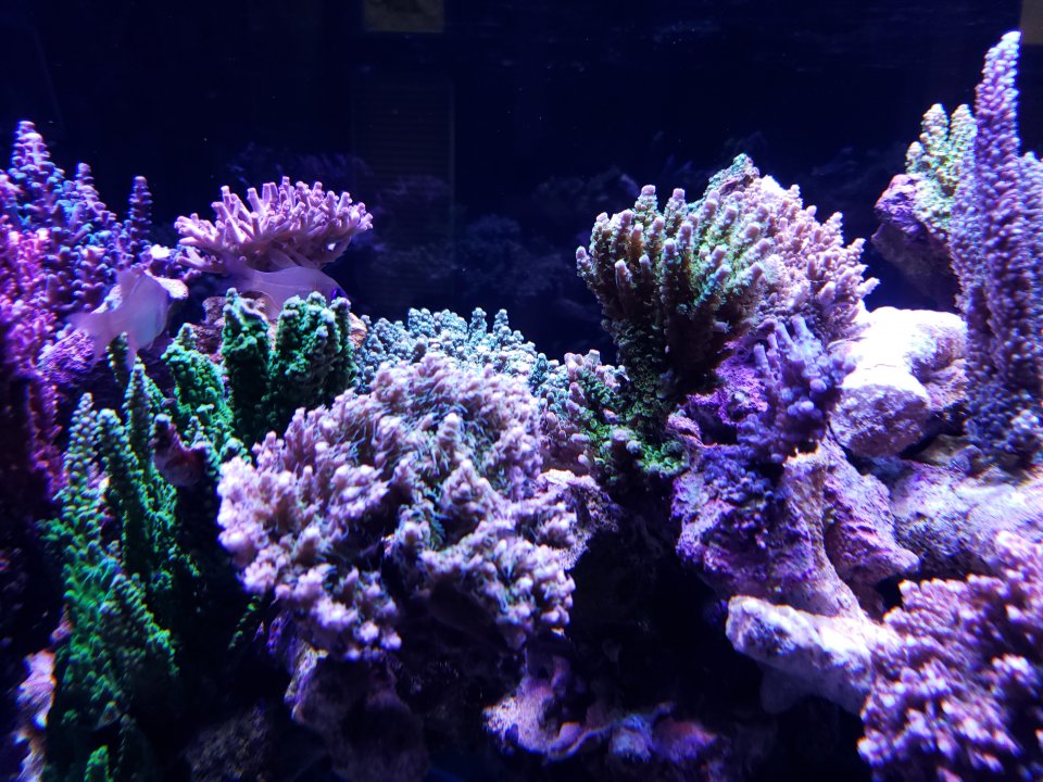 20211007_175329.jpg