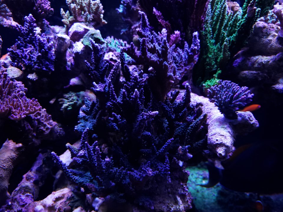 20211007_175335.jpg