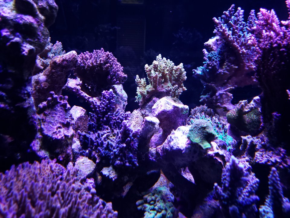 20211007_175348.jpg