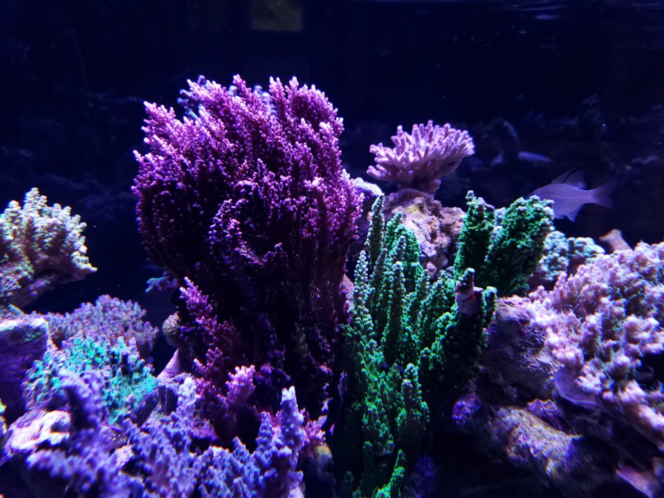 20211007_175353.jpg