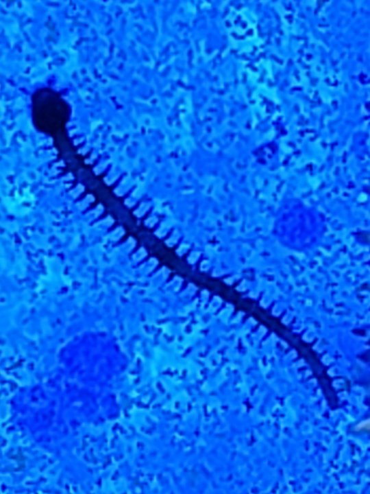 20211016_213400.jpg