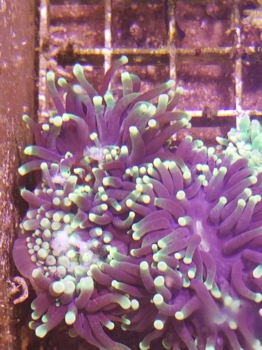 20211022_140418.jpg