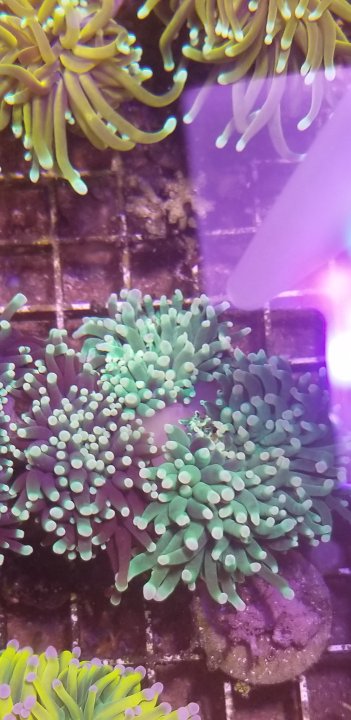 20211022_175731.jpg