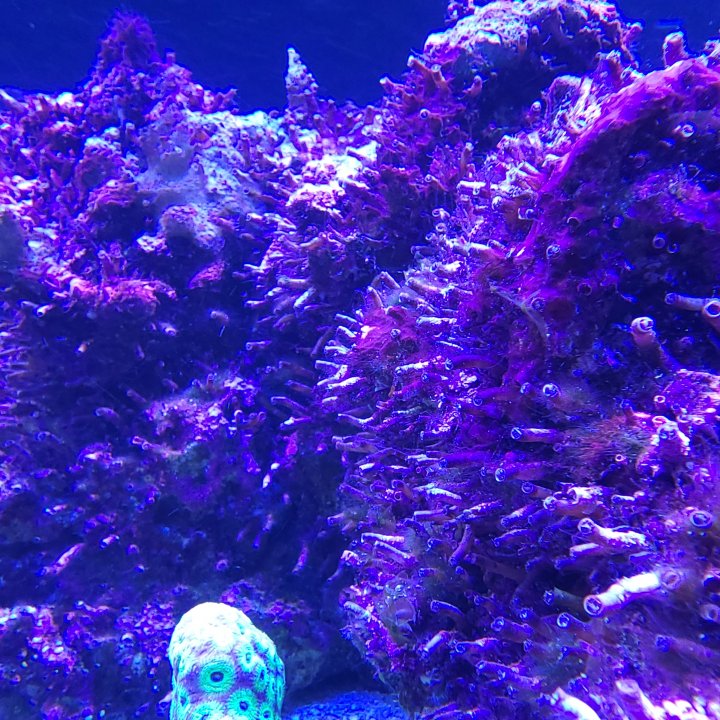 20211124_125440.jpg