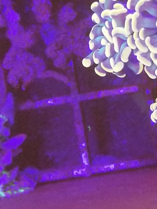 20211212_192214.jpg