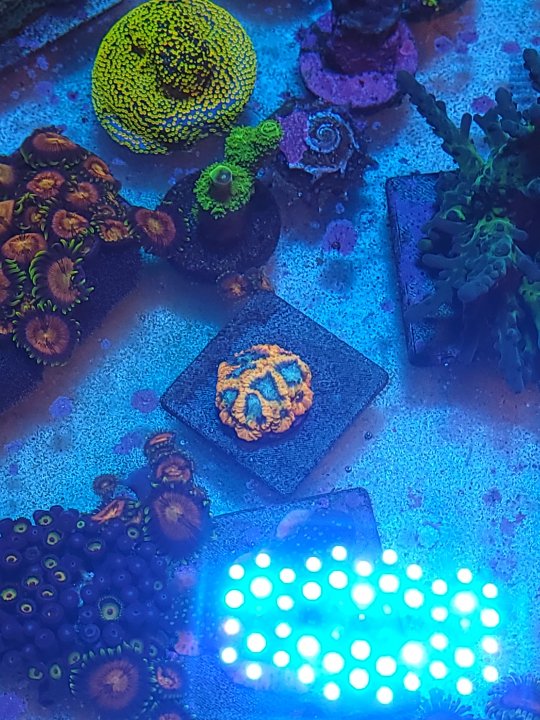 20211218_204814.jpg
