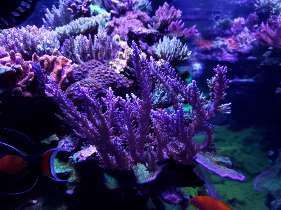 20220120_074252.jpg