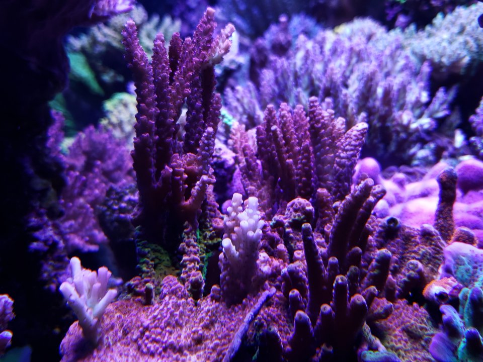 20220120_074335.jpg