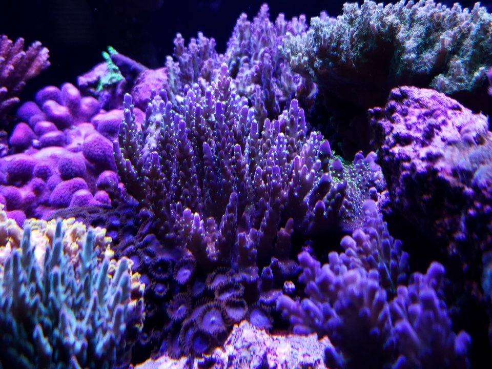 20220120_074453.jpg