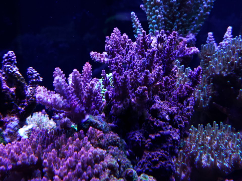 20220120_074620.jpg