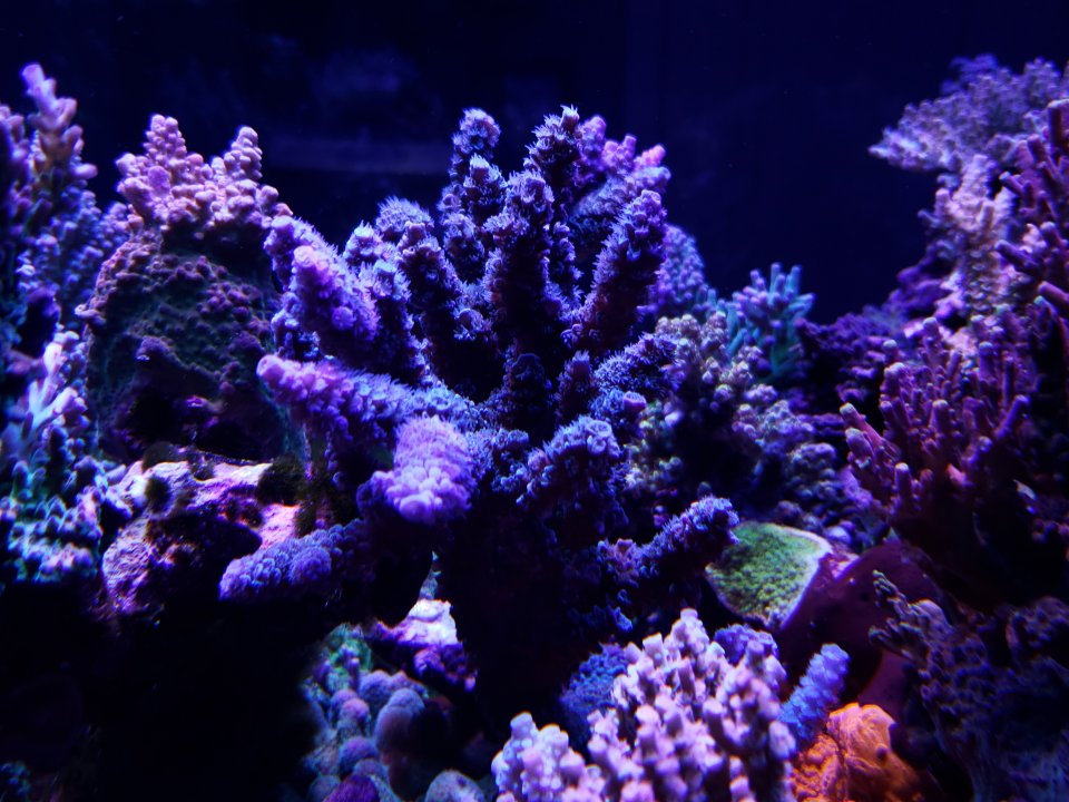 20220120_074819.jpg