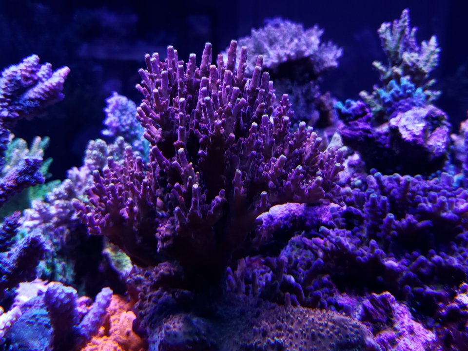 20220120_074917.jpg