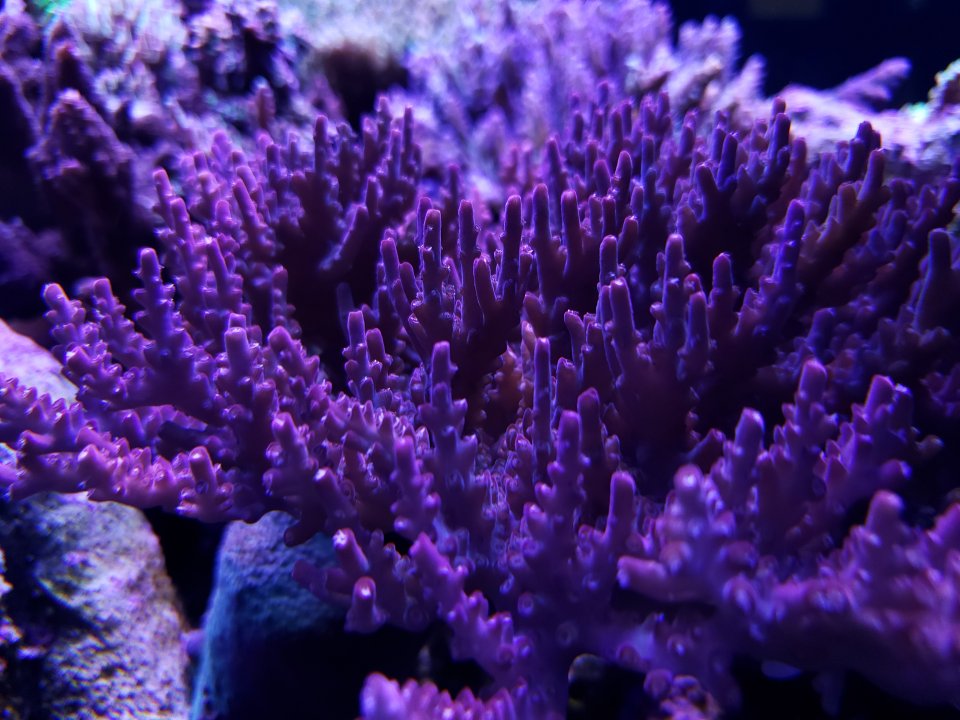 20220120_075310.jpg