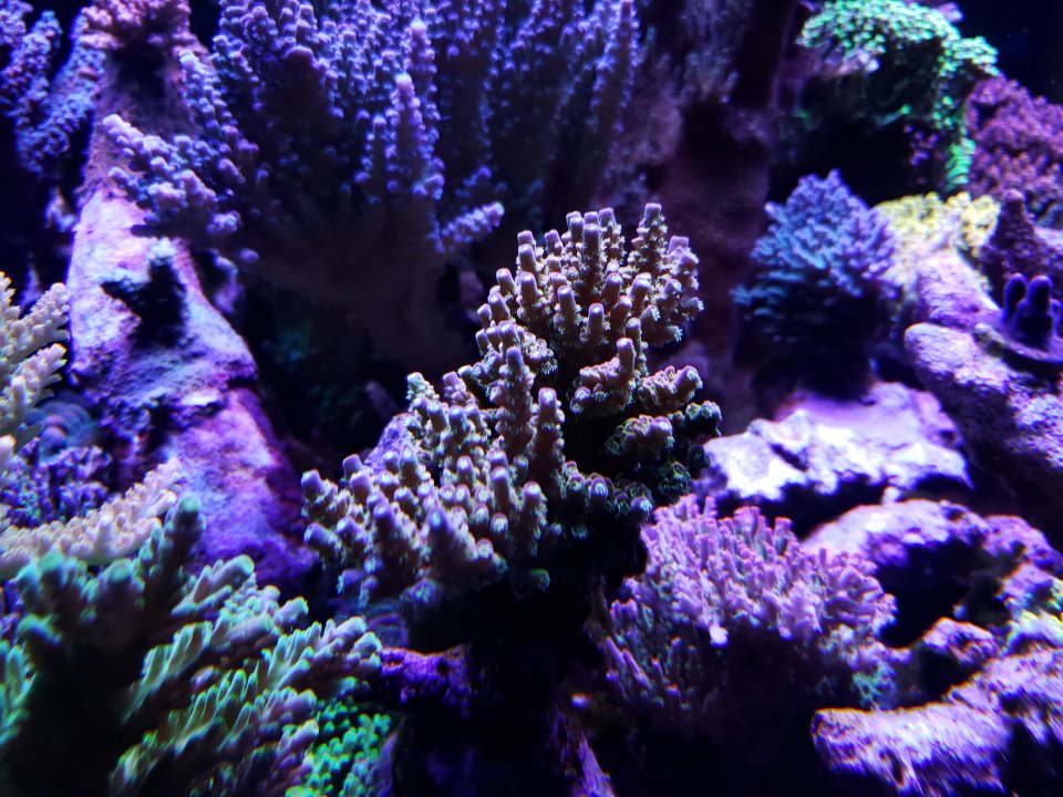 20220120_075826.jpg