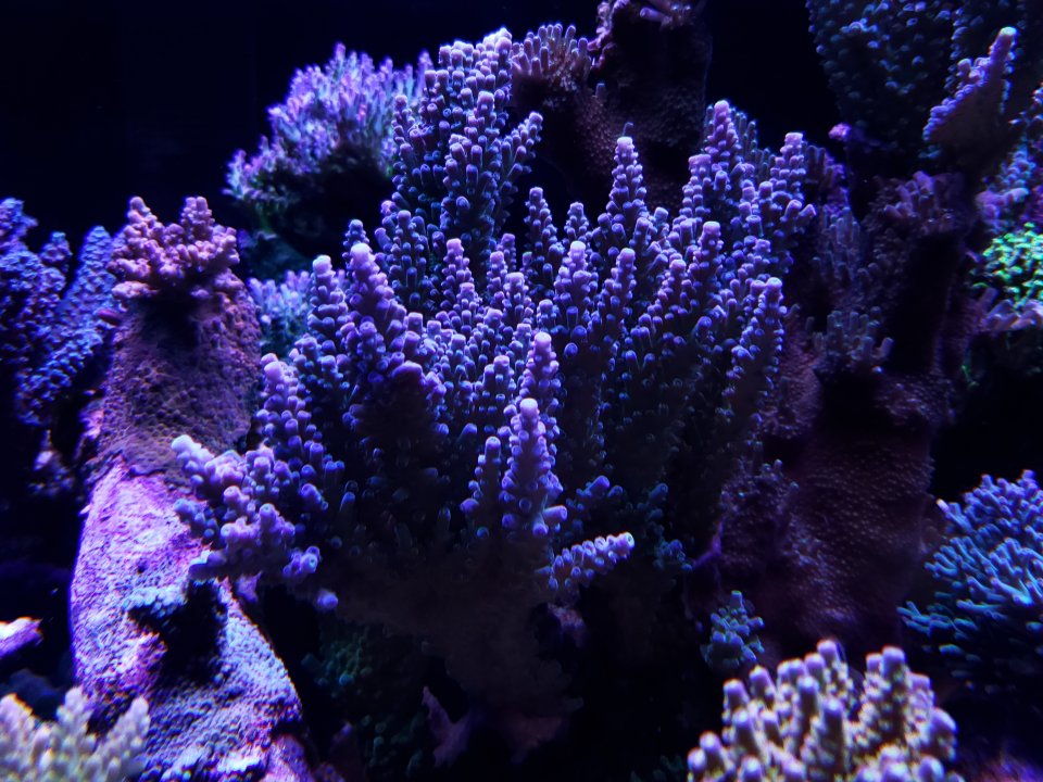 20220120_075850.jpg