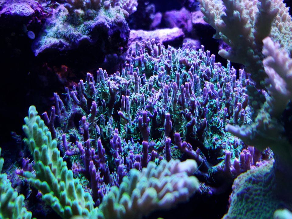 20220120_080128.jpg