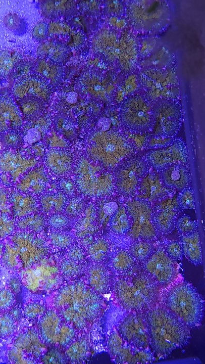 20220123_142218.jpg