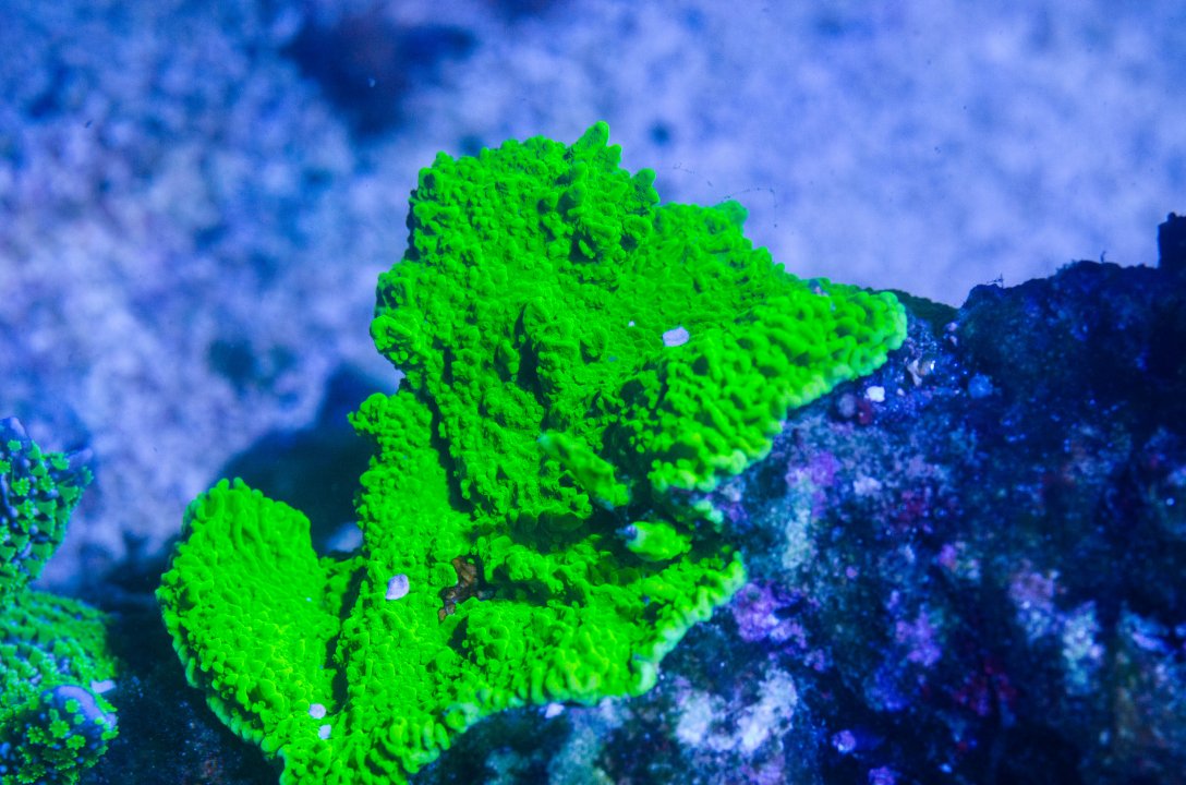 20220125-DSC_4391.jpg