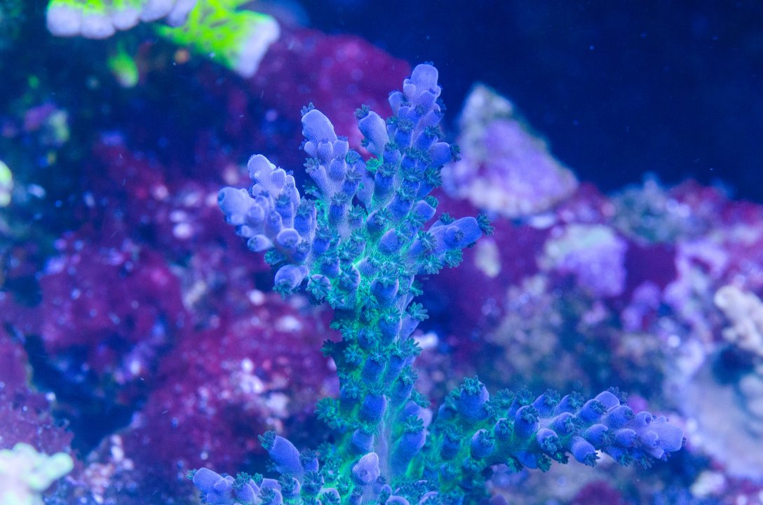 20220125-DSC_4392.jpg