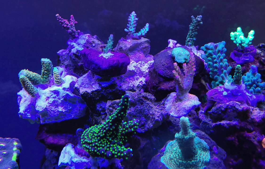 20220131_154740.jpg