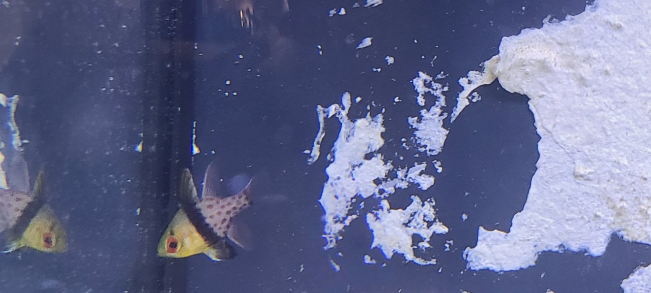 20220316_141501.jpg