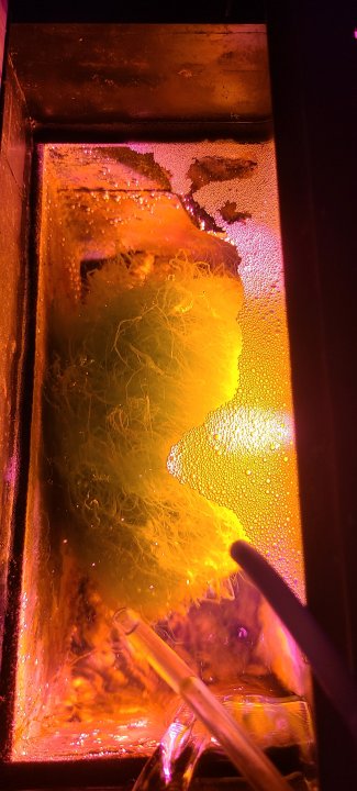 20220319_113132.jpg
